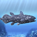 APK Coelacanth and ancient fish