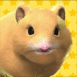 Play with your hamster simgesi