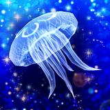 Jellyfish Friends aplikacja