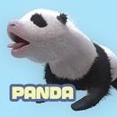 APK Newborn panda
