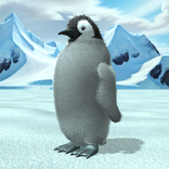 Penguins raised from chicks