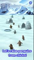 Penguins raised from chicks-poster