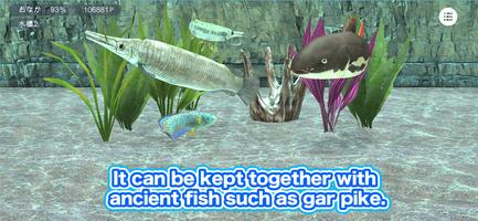 Redtail catfish Aquarium ảnh chụp màn hình 2
