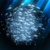 school of fish  AR APK
