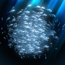 APK school of fish  AR