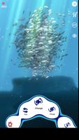school of fish  AR poster