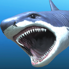 Great white shark breeding AR icône