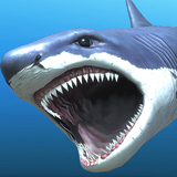 Great white shark breeding AR aplikacja