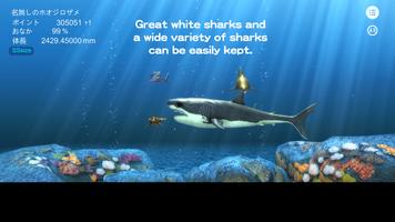 Great white shark breeding AR-poster