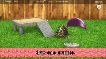 Tortoise to grow relaxedly โปสเตอร์