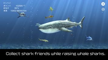 Whale shark that grows calmly poster