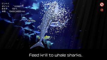 Whale shark that grows calmly screenshot 1