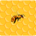 Honeycomb