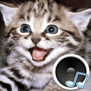 Звуки животных. Изучай зверей. APK