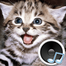 Animal sounds. Learn and play. APK