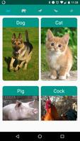 Animal sounds. Learn and play. poster