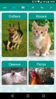 Poster Suoni di animali