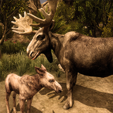 Ultimate Moose Simulator