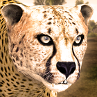 Ultimate Cheetah Simulator ícone