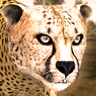 Ultimate Cheetah Simulator-icoon