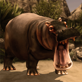 Ultimate Hippo Simulator 图标