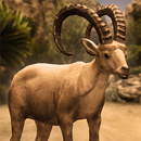 Ultimate Ibex Simulator-APK
