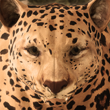 ikon Ultimate Leopard Simulator