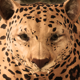 Ultimate Leopard Simulator أيقونة