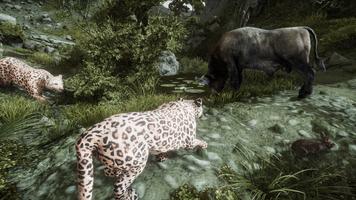 Ultimate Leopard Simulator capture d'écran 2