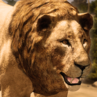 Ultimate Lion Simulator ícone