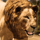 ikon Ultimate Lion Simulator