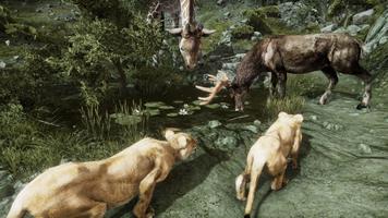 Ultimate Lioness Simulator gönderen
