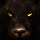 Ultimate Panther Simulator APK