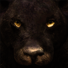 Ultimate Panther Simulator 아이콘