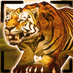 آیکون‌ Tiger King Simulator