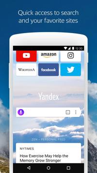 Yandex Browser (alpha) 海报