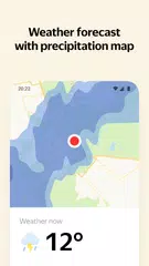 Baixar Yandex with Alice XAPK