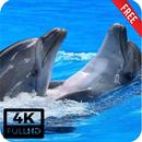 APK Delfines Fondos