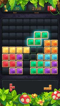 1010 Block Puzzle Game Classic