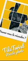Tile Twist Affiche