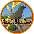 Canto De Trinca Ferro