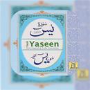Surah Yaseen / Sura Yasin(Hear APK