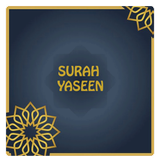 Surah Yaseen with translation icon