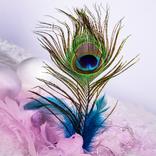 Bhagvad Geeta with Audio