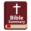 Bible Summary ícone