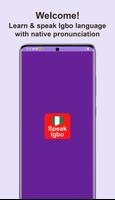 Learn Igbo โปสเตอร์