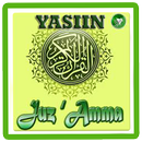 Surat Yasin dan Juz Amma Terjemah aplikacja