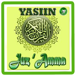Surat yasin dan Juz Amma Terjemah