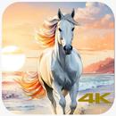 Horse Wallpapers HD APK