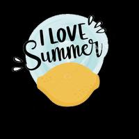 Summer Stickers WAstickerapps 海报